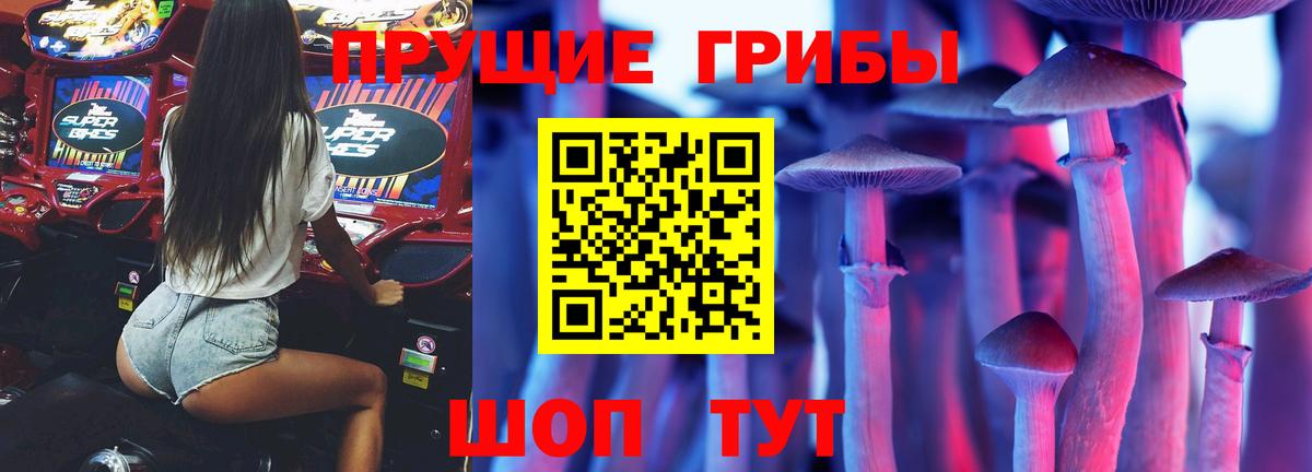 Псилоцибиновые грибы мицелий Мариинск
