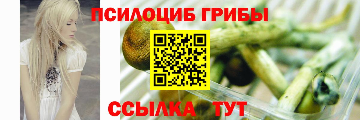 Псилоцибиновые грибы Psilocybine cubensis  Галлюциногенные грибы прущие грибы  хочу наркоту  Мариинск  Вход с VPN 